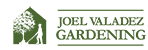 Joel Valadez Logo